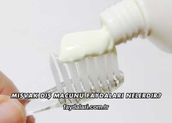 Misvak Diş Macunu Faydaları Nelerdir?