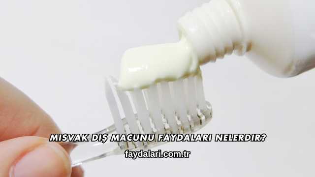 Misvak Diş Macunu Faydaları Nelerdir?