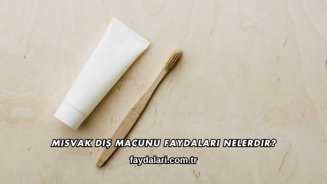 Misvak Diş Macunu Faydaları Nelerdir?