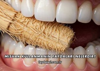 Misvak Kullanmanın Faydaları Nelerdir?