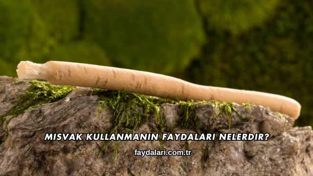 Misvak Kullanmanın Faydaları Nelerdir?