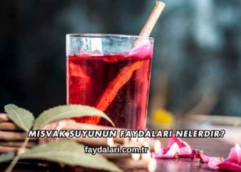 Misvak Suyunun Faydaları Nelerdir