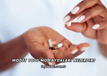 Modet 1000 mg Faydaları Nelerdir?