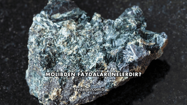 Molibden Faydaları Nelerdir?