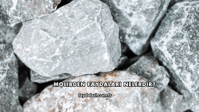 Molibden Faydaları Nelerdir?