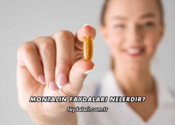 Montalin Faydaları Nelerdir?