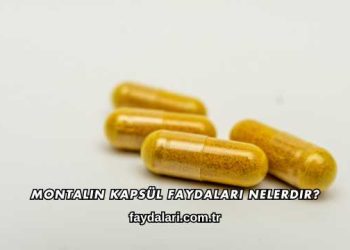 Montalin Kapsül Faydaları Nelerdir?