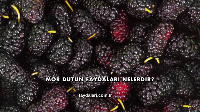 Mor Dutun Faydaları Nelerdir?