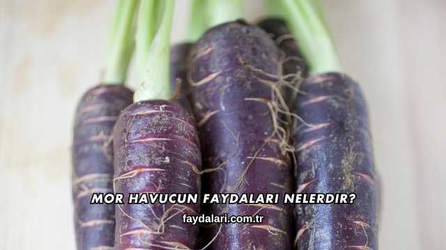 Mor Havucun Faydaları Nelerdir?