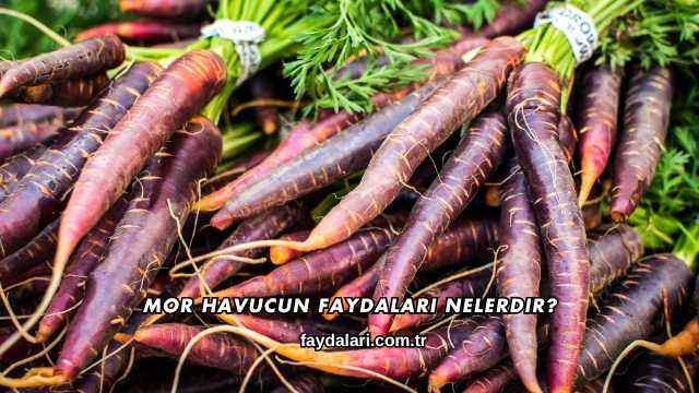 Mor Havucun Faydaları Nelerdir?
