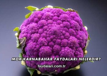Mor Karnabahar Faydaları Nelerdir?