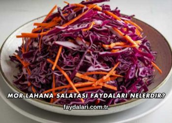 Mor Lahana Salatası Faydaları Nelerdir?
