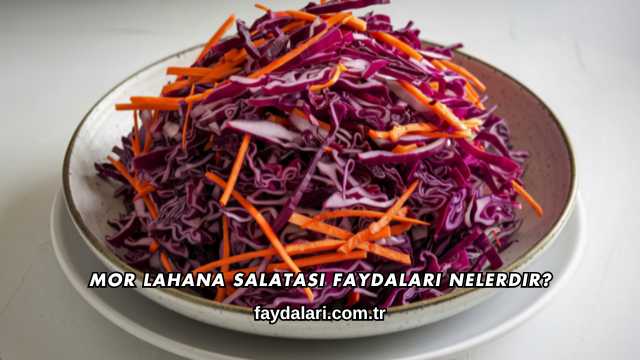 Mor Lahana Salatası Faydaları Nelerdir?