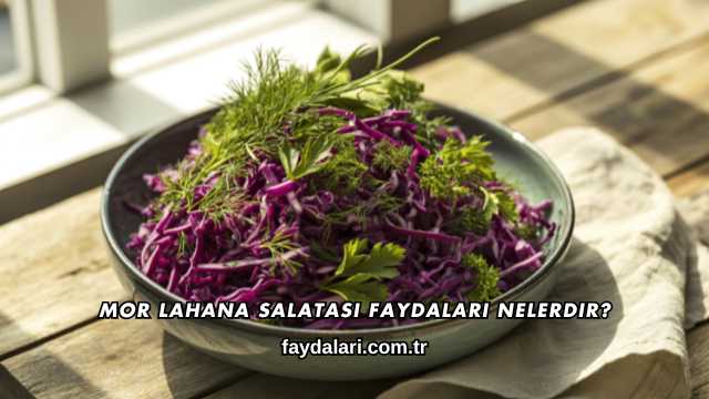 Mor Lahana Salatası Faydaları Nelerdir?