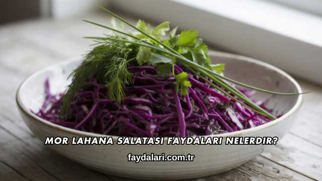 Mor Lahana Salatası Faydaları Nelerdir?
