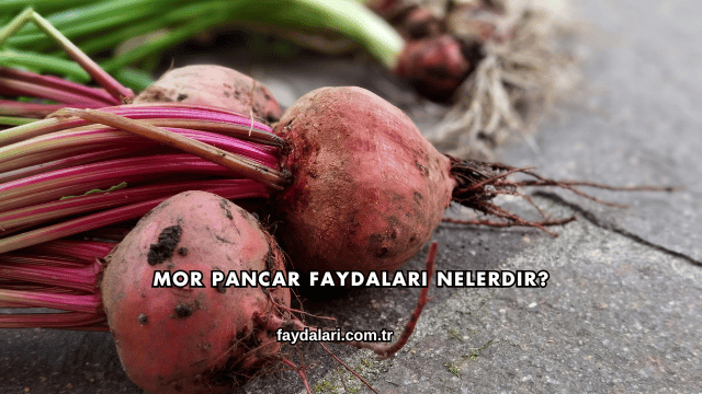 Mor Pancar Faydaları Nelerdir?