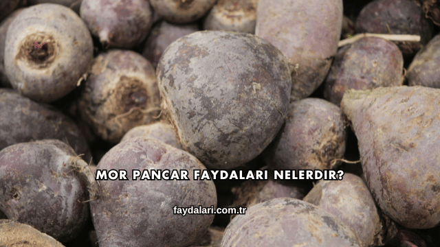 Mor Pancar Faydaları Nelerdir?