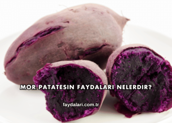 Mor Patatesin Faydaları Nelerdir?