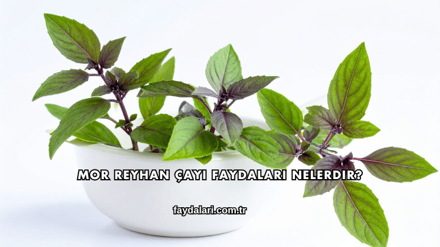 Mor Reyhan Çayı Faydaları Nelerdir?