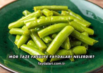 Mor Taze Fasulye Faydaları Nelerdir?