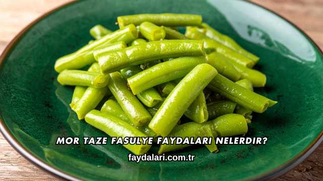 Mor Taze Fasulye Faydaları Nelerdir?