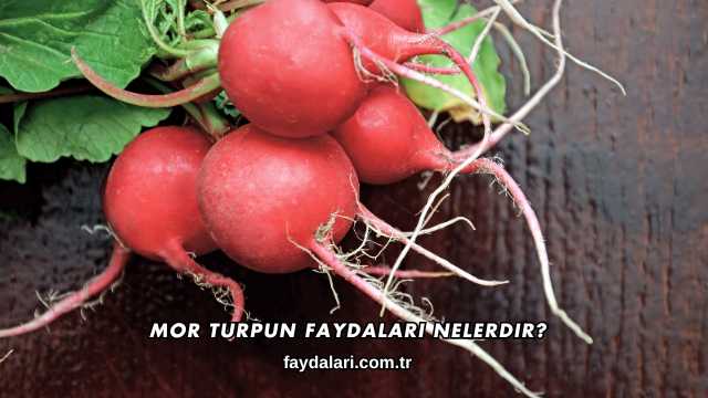 Mor Turpun Faydaları Nelerdir?