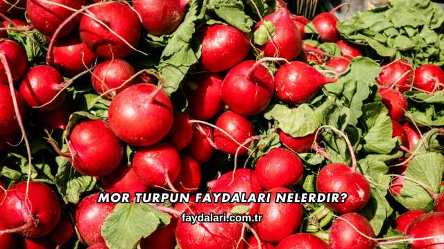 Mor Turpun Faydaları Nelerdir?