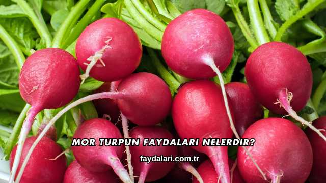 Mor Turpun Faydaları Nelerdir?