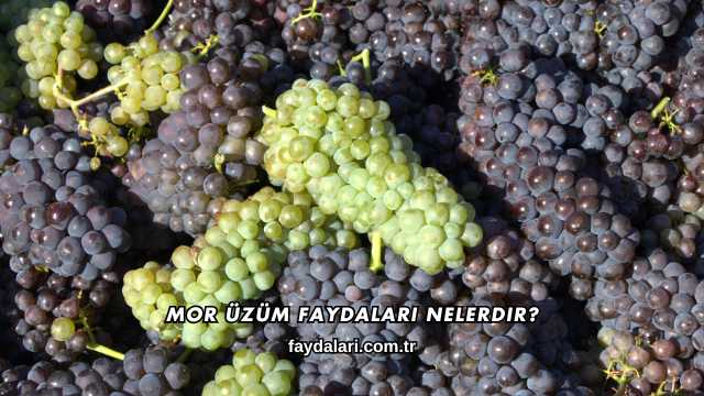 Mor Üzüm Faydaları Nelerdir?