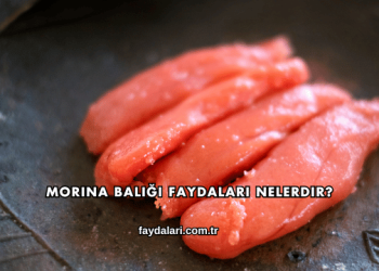 Morina Balığı Faydaları Nelerdir?