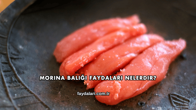 Morina Balığı Faydaları Nelerdir?