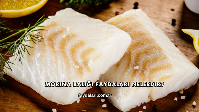 Morina Balığı Faydaları Nelerdir?
