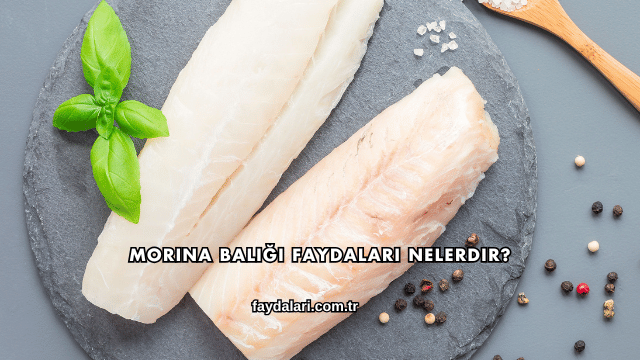 Morina Balığı Faydaları Nelerdir?