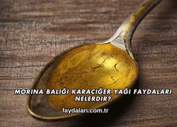 Morina Balığı Karaciğer Yağı Faydaları Nelerdir?