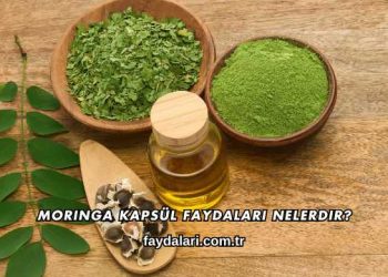 Moringa Kapsül Faydaları Nelerdir?
