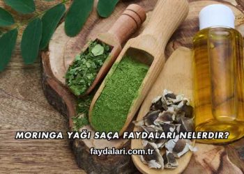 Moringa Yağı Saça Faydaları Nelerdir?