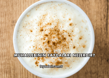 Muhallebinin Faydaları Nelerdir?