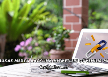 Mukas Medya Backlink Hizmetleri Güvenilir mi?