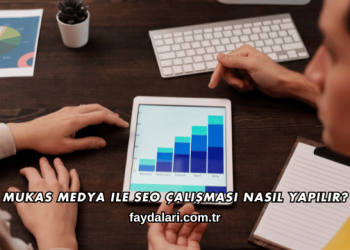 Mukas Medya ile SEO Çalışması Nasıl Yapılır?