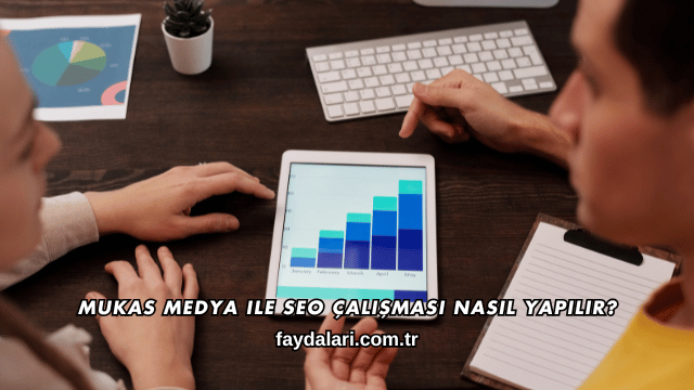 Mukas Medya ile SEO Çalışması Nasıl Yapılır?
