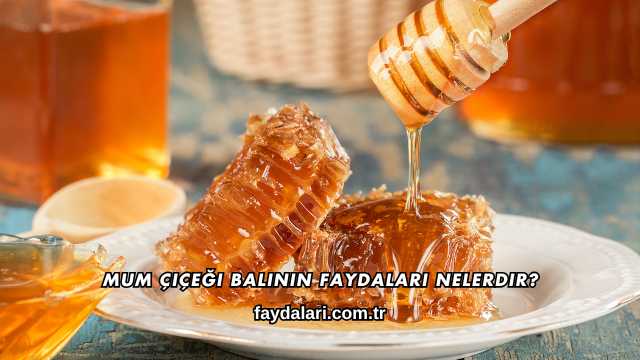 Mum Çiçeği Balının Faydaları Nelerdir?