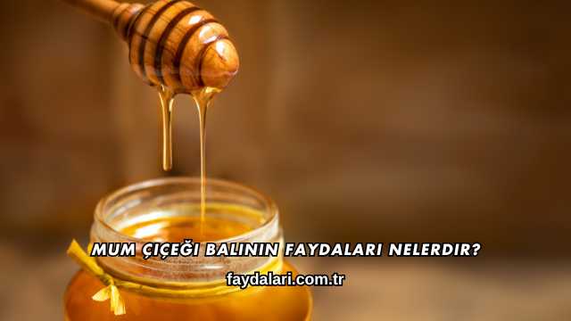 Mum Çiçeği Balının Faydaları Nelerdir?