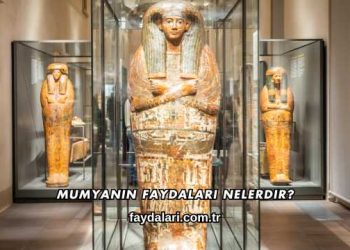 Mumyanın Faydaları Nelerdir?