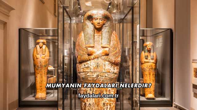 Mumyanın Faydaları Nelerdir?