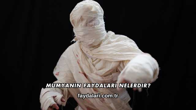 Mumyanın Faydaları Nelerdir?