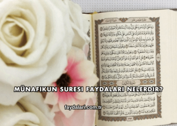 Münafikun Suresi Faydaları Nelerdir?