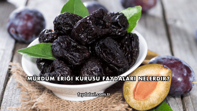 Mürdüm Eriği Kurusu Faydaları Nelerdir?