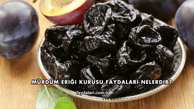 Mürdüm Eriği Kurusu Faydaları Nelerdir?