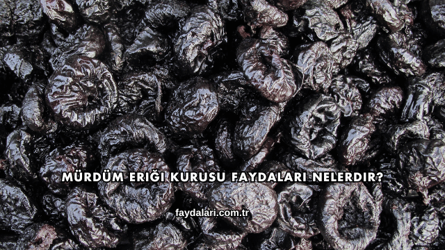 Mürdüm Eriği Kurusu Faydaları Nelerdir?