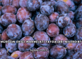 Mürdüm Eriği Marmelatı Faydaları Nelerdir?
